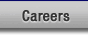 careers at acedes